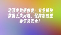 动顶尖数据恢复：专业解决数据丢失问题，保障您的重要信息安全！
