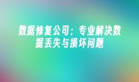 数据修复公司：专业解决数据丢失与损坏问题