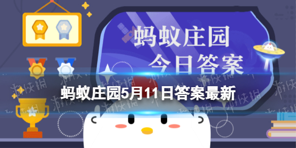 小鸡宝宝考考你“春困秋乏夏打盹”,哪种饮食有助于缓解疲劳感