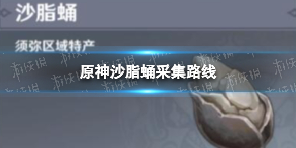 《原神》沙脂蛹采集路线 沙脂蛹哪里多