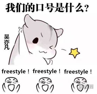 freestyle是什么意思 请问你有freestyle表情包