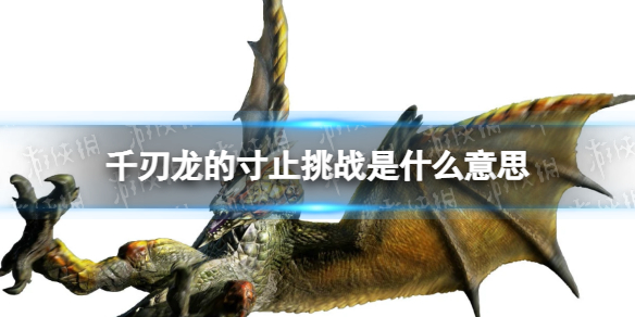 千刃龙的寸止挑战是什么意思 千刃龙的寸止挑战是什么梗