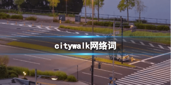 citywalk网络词 上海citywalk网络意思