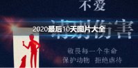 2020最后10天图片大全 2020最后10天记忆图片有哪些
