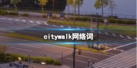 citywalk网络词 上海citywalk网络意思