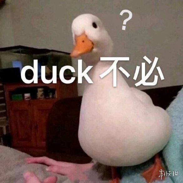 duck不必是什么意思 duck不必表情包分享