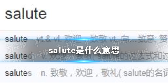 salute是什么意思 salute是什么梗