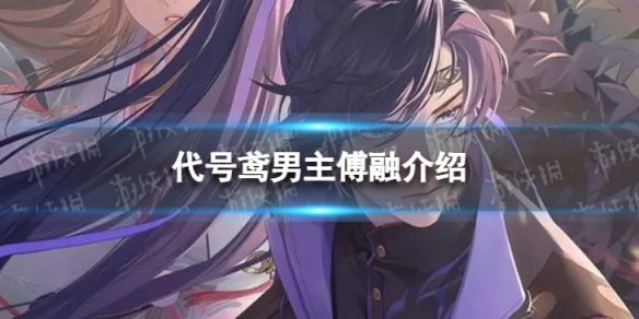 代号鸢男主傅融介绍