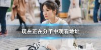 现在正在分手中韩剧在线观看地址分享 宋慧乔2021新剧在哪看