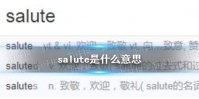 salute是什么意思 salute是什么梗