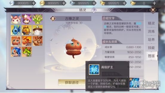 《完美世界手游》精灵怎么加点 精灵加点指南