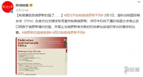 俄罗斯猫被制裁 俄罗斯猫被制裁怎么回事