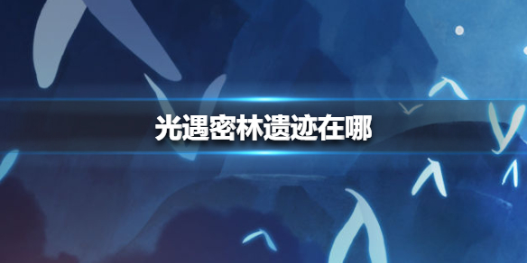 《光遇》密林遗迹在哪 密林遗迹位置介绍