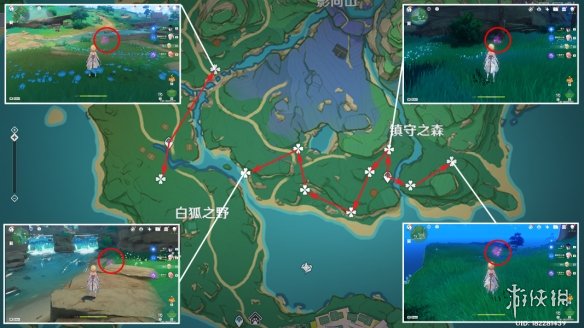 《原神》绯樱绣球分布图 3.8绯樱绣球收集路线