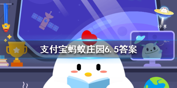实际上生活中的兔子更喜欢以下哪种食物 蚂蚁庄园今日答案6月5日