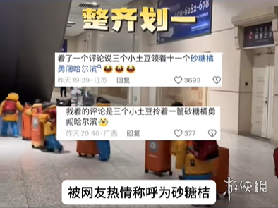 南方砂糖橘梗介绍