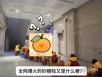 南方砂糖橘梗介绍