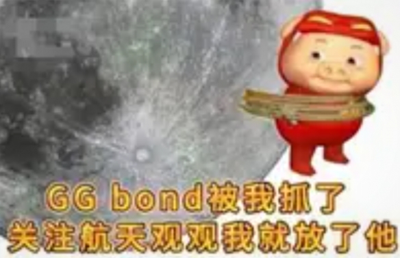 解救ggbond是什么意思 ggbond梗介绍