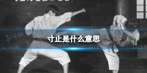 寸止是什么意思 寸止是什么梗