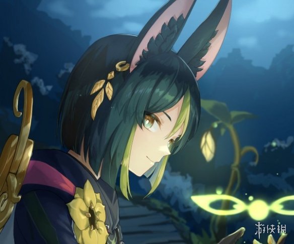 原神提纳里培养攻略