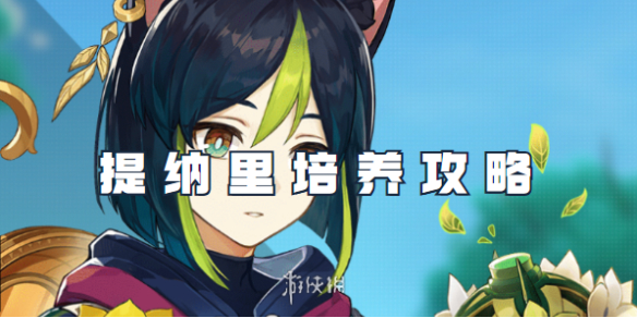 原神提纳里培养攻略