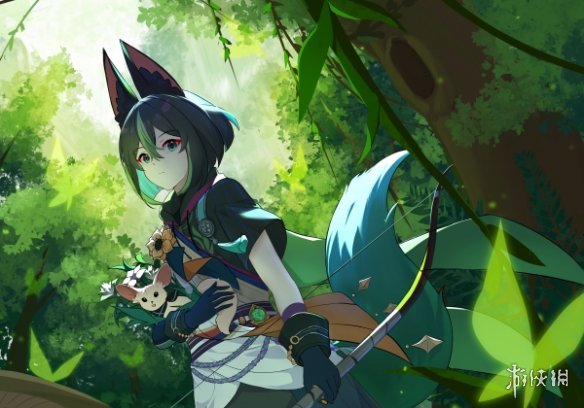 原神提纳里培养攻略