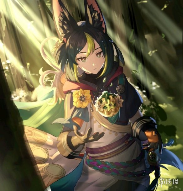 原神提纳里培养攻略