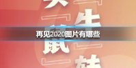 再见2020图片有哪些 再见2020图片大全