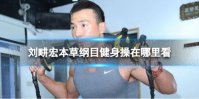 刘畊宏本草纲目健身操在哪里看 刘畊宏本草纲目健身操观看地址