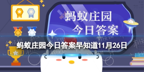 筋膜枪能瘦腿吗 蚂蚁庄园筋膜枪11月26日答案最新