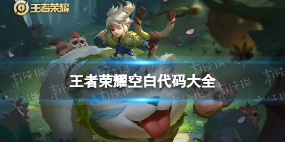 王者荣耀空白代码大全