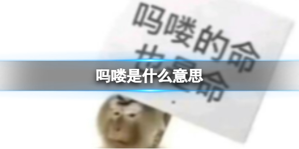 吗喽是什么意思