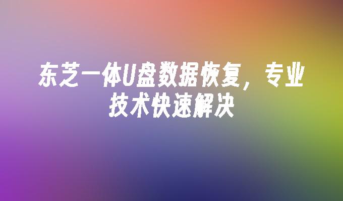 东芝一体U盘数据恢复，专业技术快速解决