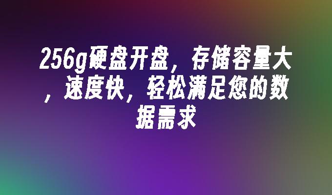 256g硬盘开盘，存储容量大，速度快，轻松满足您的数据需求