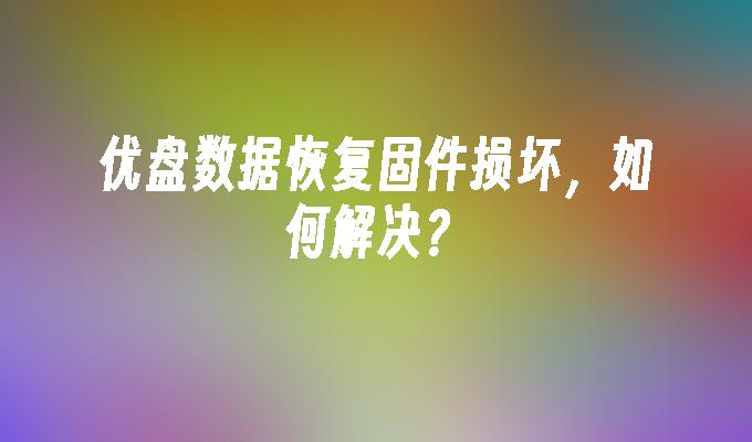 优盘数据恢复固件损坏，如何解决？