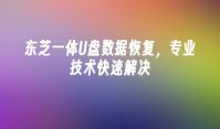 东芝一体U盘数据恢复，专业技术快速解决