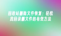 回收站删除文件恢复：轻松找回误删文件的有效方法