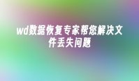 wd数据恢复专家帮您解决文件丢失问题