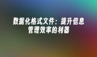 数据化格式文件：提升信息管理效率的利器