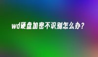 wd硬盘加密不识别怎么办？