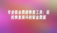 专业钣金数据恢复工具：轻松恢复损坏的钣金数据