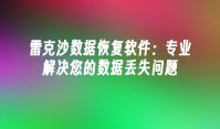 雷克沙数据恢复软件：专业解决您的数据丢失问题