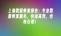 上海数据恢复报价：专业数据恢复服务，快速高效，价格合理！