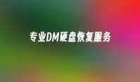 专业DM硬盘恢复服务