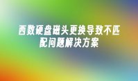 西数硬盘磁头更换导致不匹配问题解决方案