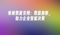 维硬数据官网：数据洞察，助力企业智能决策