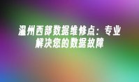 温州西部数据维修点：专业解决您的数据故障