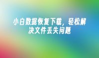 小白数据恢复下载，轻松解决文件丢失问题