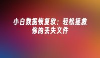 小白数据恢复软：轻松拯救你的丢失文件