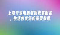 上海专业电脑数据恢复服务，快速恢复您的重要数据